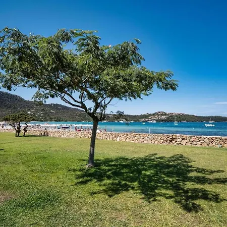 In Near The Marinella (Sardinia)
